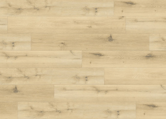 8310 Дуб Шампань