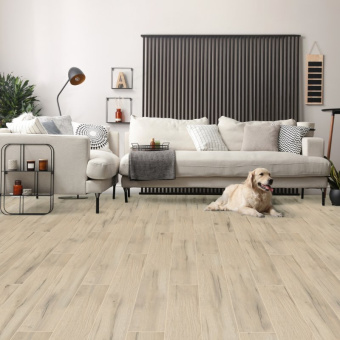 ID10 Дуб Скилл  