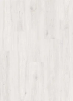 IM8465 Дуб Зимний