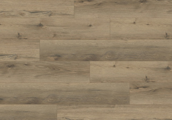 Дуб натуральный темный ASPC20247