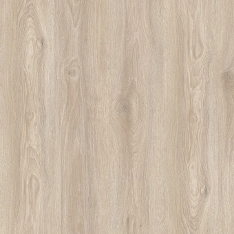 IMU 8472  Дуб Рассветный