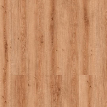 56222 Дуб Желтеющий