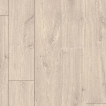 CLH 1655  Кубинский Дуб