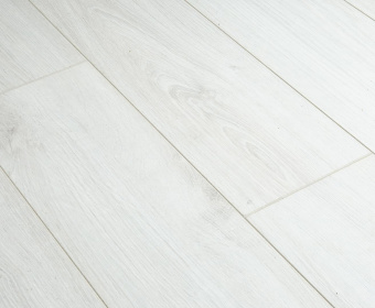 FP456 Дуб Бернар 