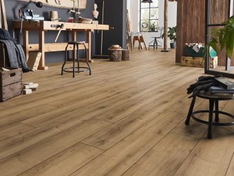 D40782 Дуб Джалон