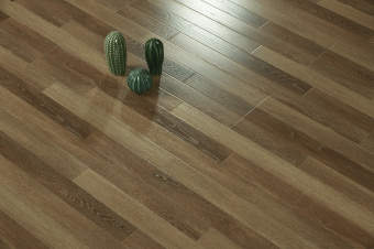 61144 Дуб Манора