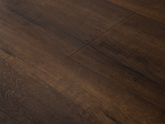 2410 Дуб Коньячный