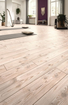 2967 Пихта Сибирская