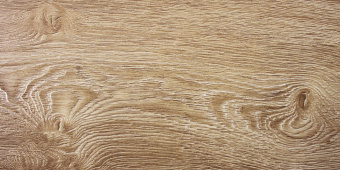 75036 Дуб Остин