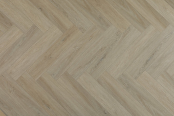 219 Дуб Тренто