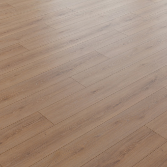 NC84 Дуб Тендес