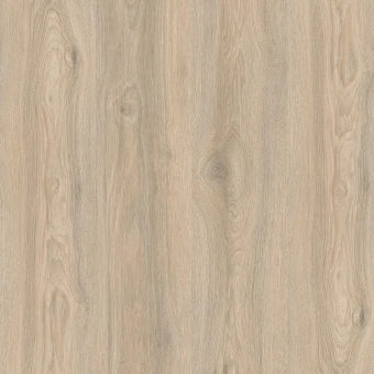 IMU 8467 Дуб Кедровый