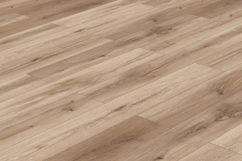 50787 Дуб Олссон