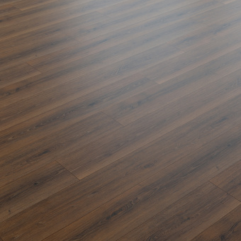 NC85 Дуб Мейджер