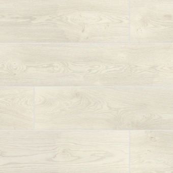 3251 Дуб Альбионе