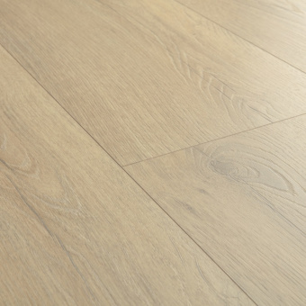 CLH5791 Дуб песочный греш