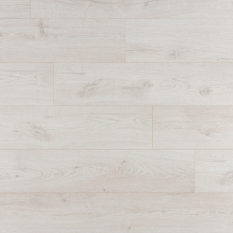 UWH 8633 Дуб вересковый