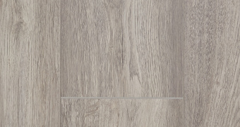 FP1103 Дуб Тильзит