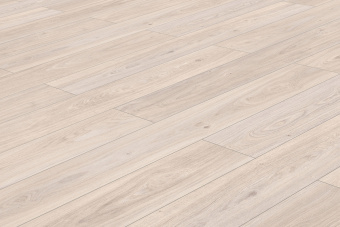 50857 Дуб Шеппард