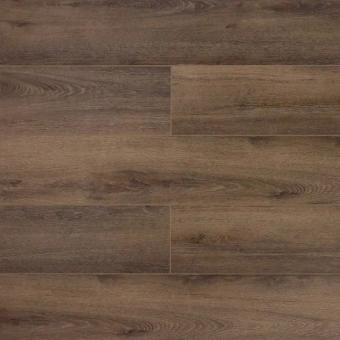 Дуб Обыкновенный