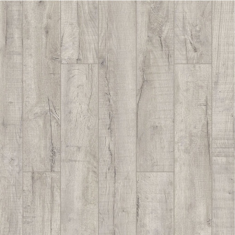 ID98 Дуб Тайм