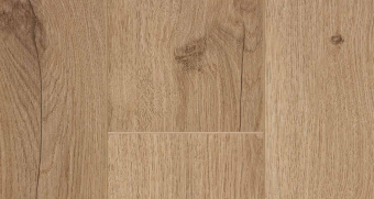 LM24 Дуб Салентино