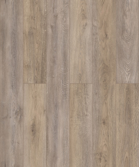 50057 Дуб Ригель