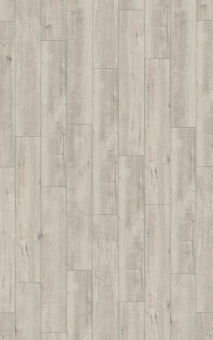 4787 Дуб Гала белый