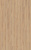 D80592 Дуб Норфолк D80592 Дуб Норфолк