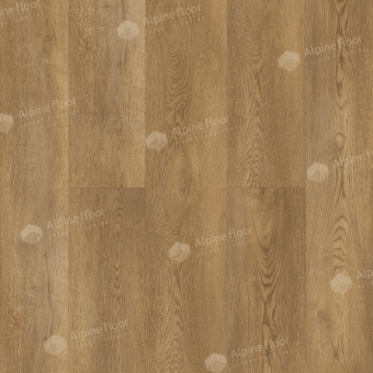 ECO 24-2 Дуб Модерн