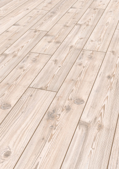 D2967 Пихта Сибирская