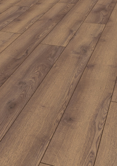 4726 Дуб горный коричневый