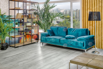 ГРАНД СЕКВОЙЯ ДЕЙНТРИ ECO 11-12