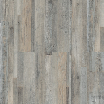 Дуб Марсель 