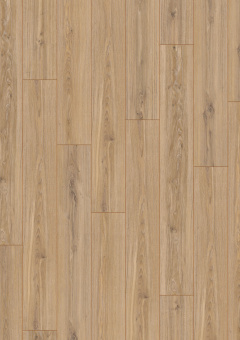 3073 Дуб Фалсбург