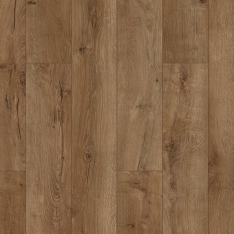 ID61 Дуб Челини