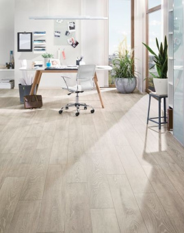 5542 Дуб Боулдор